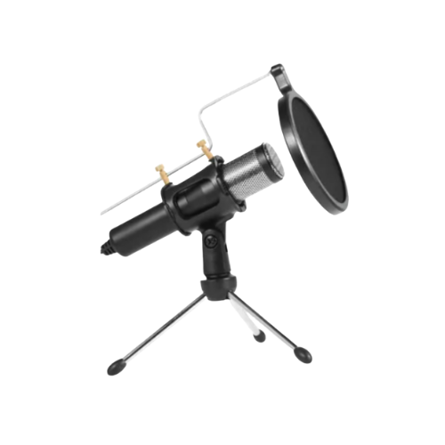 Pro Condenser Microphone Kit | Studio Sound for Streaming & Recording