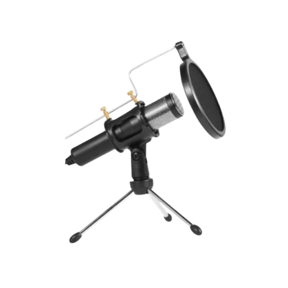 Pro Condenser Microphone Kit | Studio Sound for Streaming & Recording